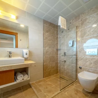 Une salle de bain moderne avec une douche à l'italienne vitrée et un toilette.