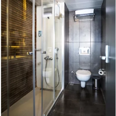 salle de bain avec douche et toilette