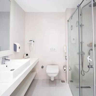 salle de bain avec douche et toilette