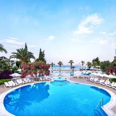 piscine extérieure avec transats et parasols et palmiers