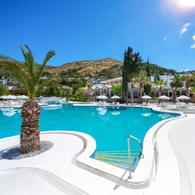 piscine extérieure turquoise avec des palmiers 