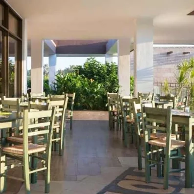 terrasse du restaurant avec des chaises vertes en bois et de la végétation