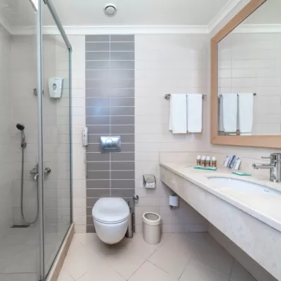 salle de bain avec toilette et douche