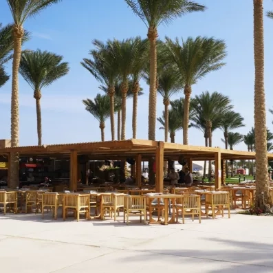Terrasse ombragée sous les palmiers du Stella Beach à Hurghada, Égypte, lieu de détente idéal en voyage.