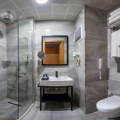 salle de bain avec douche, lavabo et toilette