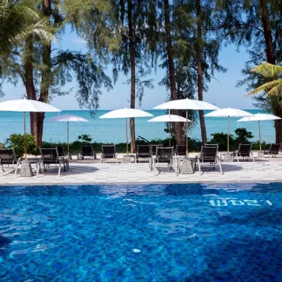 Vue d'une piscine bordée de palmiers avec des parasols blancs, des transats.