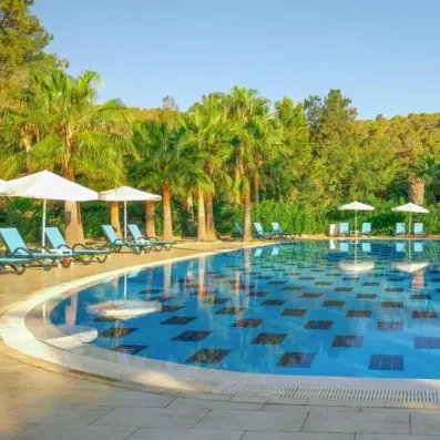 piscine avec transats et parasols