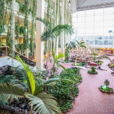 Un grand jardin d'hiver luxuriant avec de hauts palmiers et des allées fleuries.