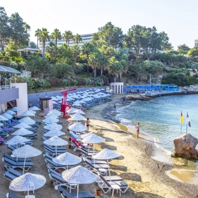 Une plage privée avec de nombreux parasols et de palmiers sous un soleil.