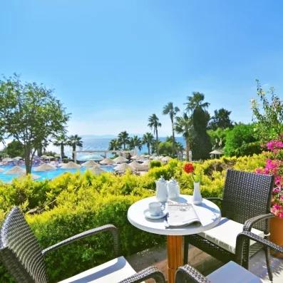 Un coin petit-déjeuner paisible en terrasse offrant une vue sur une piscine et des palmiers.