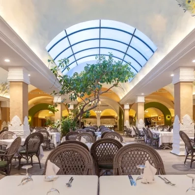 Restaurant lumineux avec verrière élégante, mobilier tressé et grand arbre central