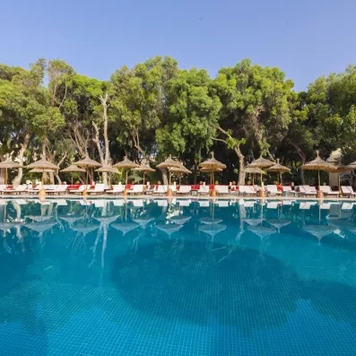Grande piscine entourée de palmiers et transats ombragés, ambiance paisible