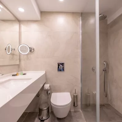 Une salle de bain, équipée d'une douche à l'italienne, d'un miroir et d'un toilette.