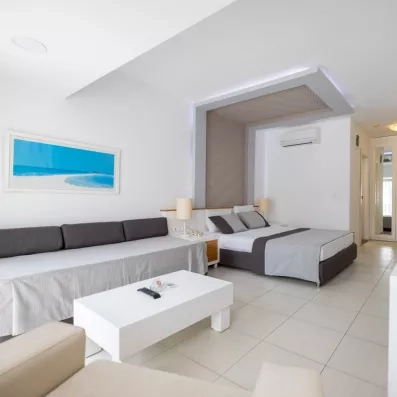 chambre avec un lit double et un canapé lit