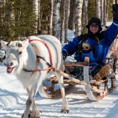 Traîneau tiré par un renne avançant dans une forêt enneigée.