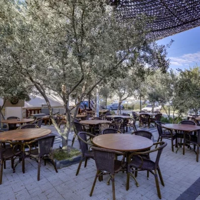 bar terrasse extérieur avec des plantes