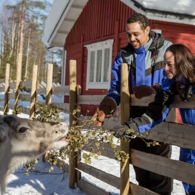 deux personnes donnant à manger à un renne 