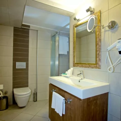 salle de bain avec douche et toilette