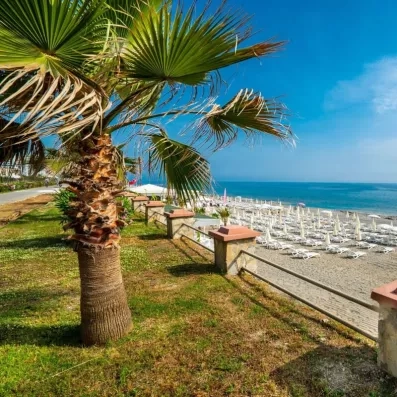 vue de la plage avec transats et parasols 