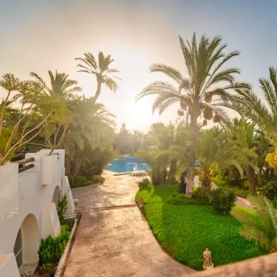 Jardin luxuriant du Djerba Resort avec palmiers dattiers et chemin pavé menant vers la piscine au coucher du soleil.
