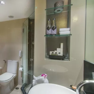 salle de bain avec toilette 