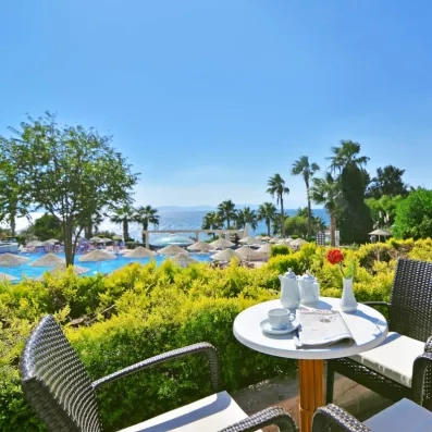  Une terrasse ensoleillée, avec une vue imprenable sur la piscine et la mer bordée de palmiers.