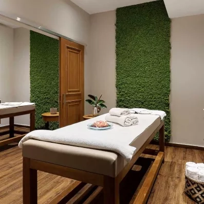 Table de massage, serviettes, fleur de lotus dans une assiette, grand miroir, plante sur une petite table, gazon sur le mur