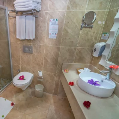 salle de bain avec douche et toilette