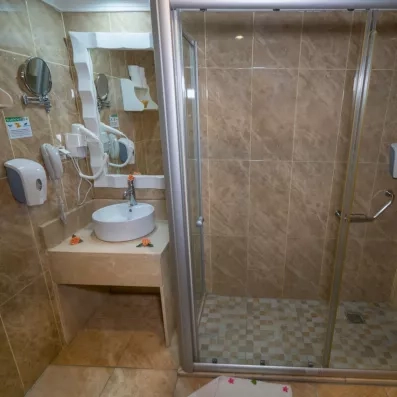 salle de bain avec douche et miroir