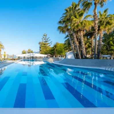 piscine extérieure avec des palmiers