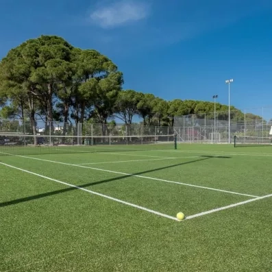 court de tennis en gazon avec arbres