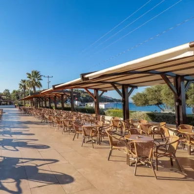 Une vaste esplanade de café en bord de mer, bordée de palmiers et de tables.