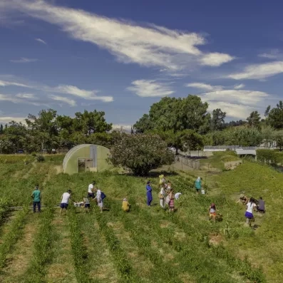 Un groupe de personnes participe à une activité de cueillette en plein air.