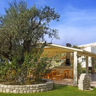 Jardin avec grand olivier, plantes, terrasse couverte petit bar, tables et bancs, pierres, ciel bleu