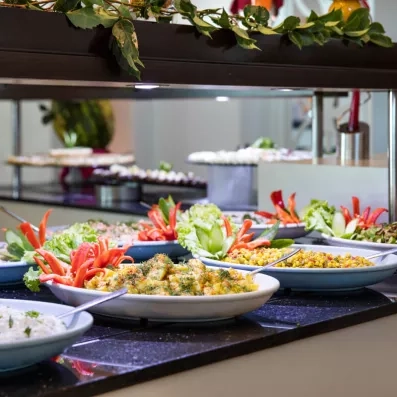 Un plan sur des assiettes de crudités et de salades fraîchement préparées pour le buffet.