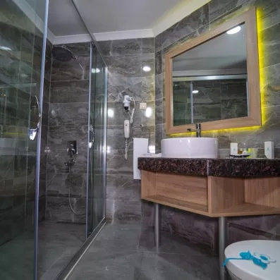 Une salle de bain contemporaine, équipée d'une douche à l'italienne.