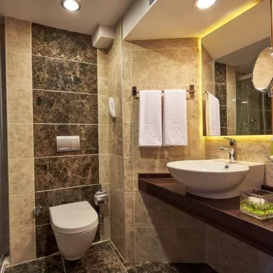 Une salle de bain en marbre brun avec une vasque ronde et des toilettes.