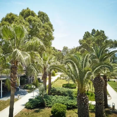 Un jardin méditerranéen luxuriant composé de palmiers et d'allées.
