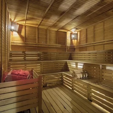 sauna avec pierre chaude et serviette