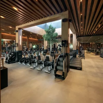 salle de sport, tapis de course, vélos marches d'escaliers, vélos elliptiques, grand arbre au centre de la salle sous un puits de lumière 