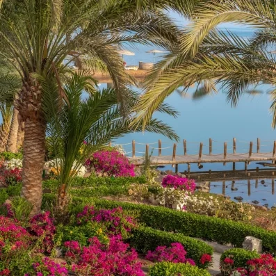 Ponton en bois et fleurs exotiques au bord d'une lagune paisible au Mövenpick Resort El Gouna.