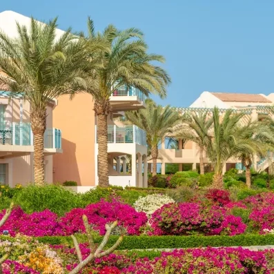 Architecture typique et bougainvilliers en fleurs des chambres du Mövenpick Resort à El Gouna, Hurghada.