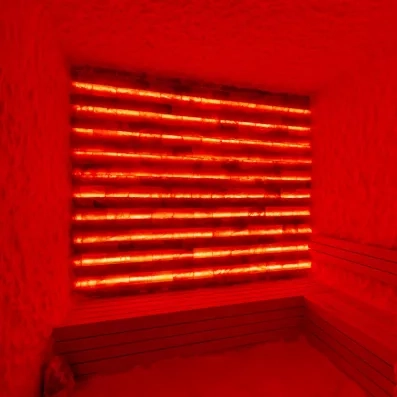 espace de détente avec un sauna infrarouge et au sel
