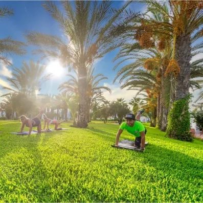 Séance de yoga matinal sur la pelouse ensoleillée entourée de palmiers exotiques au Palm Azur.