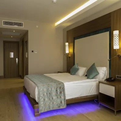 Une vue de la chambre mettant en avant la tête de lit, les luminaires et le parquet.