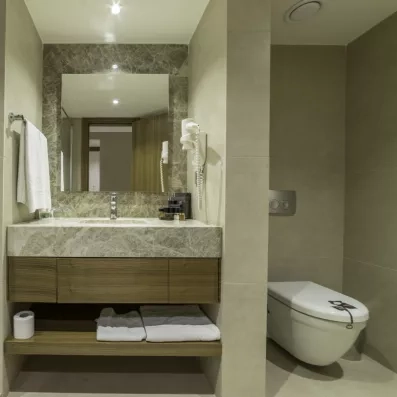 Une salle de bain avec un lavabo intégré dans un plan en marbre et des toilettes.