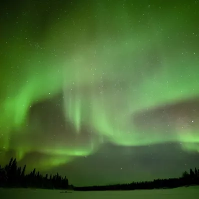 Aurores boréales vertes dans le ciel de Sodankylä au-dessus d'une forêt enneigée.
