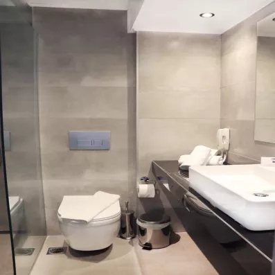 Salle de bain, douche italienne avec vitre, vasque en bois, lavabo en marbre, miroir accroché