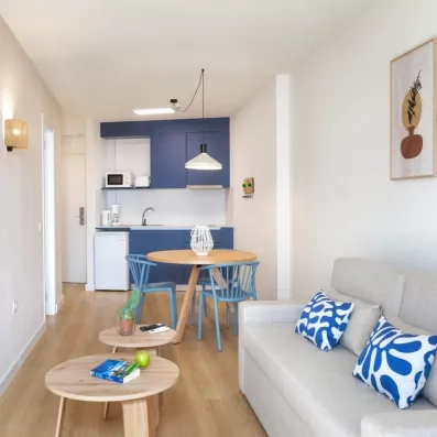 vue d'ensemble sur le salon avec canapé et kitchenette 