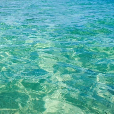 Îles Kuriat au large de Monastir, eaux turquoise, plages sauvages et réserve naturelle protégée